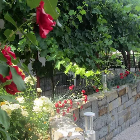 Morski Volkec איזולה
