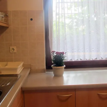 Apartment Morski Volkec *