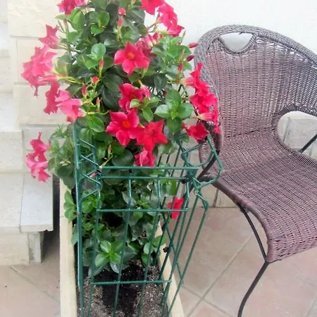 Apartment Morski Volkec